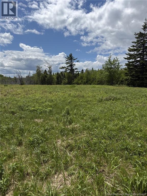 Route 117 Property Photo 7