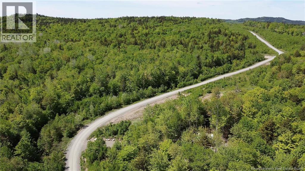 Lot 25 Misty Mountain Road Property Photo 16