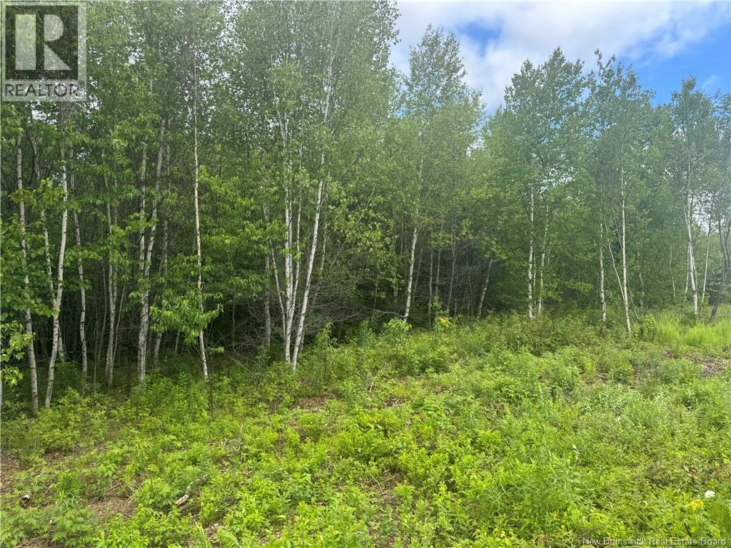 Lot 25 Misty Mountain Road Property Photo 26