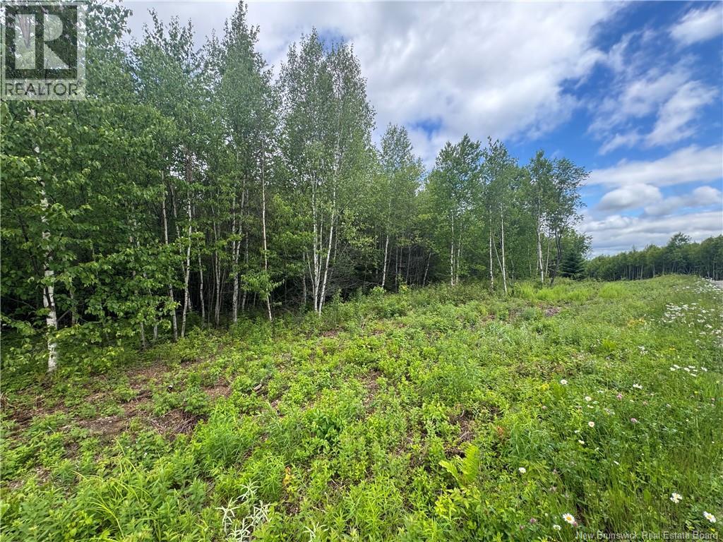 Lot 25 Misty Mountain Road Property Photo 27