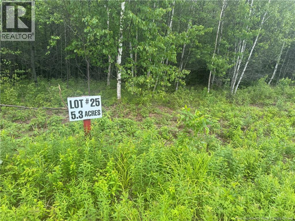 Lot 25 Misty Mountain Road Property Photo 28