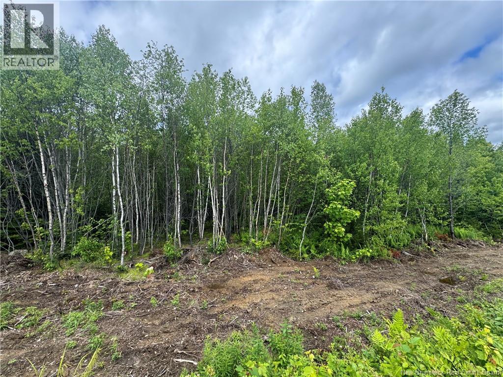 Lot 24 Misty Mountain Road Property Photo 27
