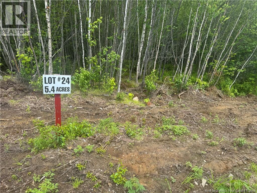 Lot 24 Misty Mountain Road Property Photo 28