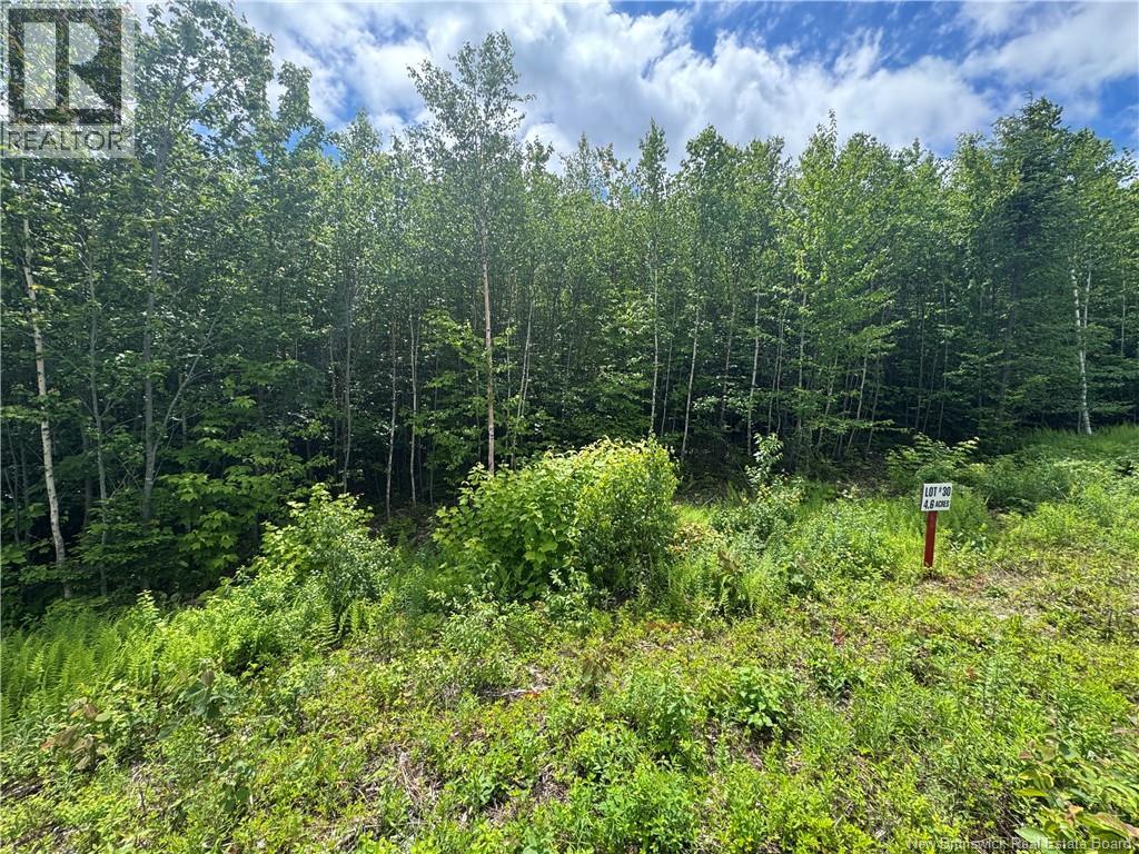 Lot 30 Misty Mountain Road Property Photo 31