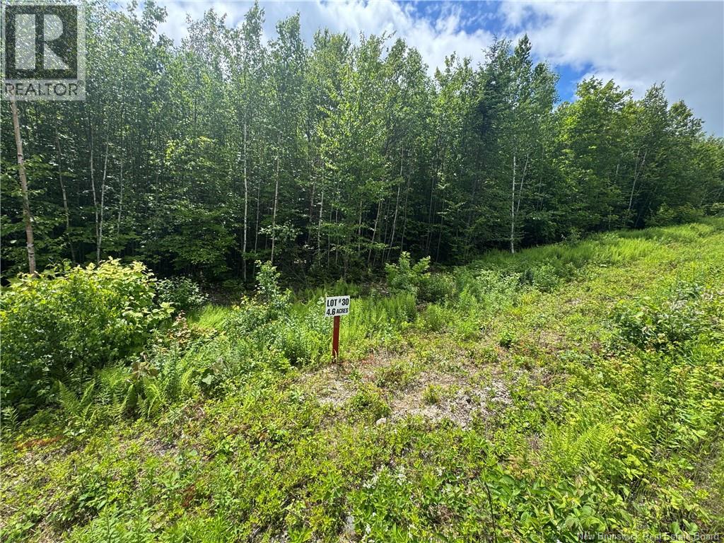 Lot 30 Misty Mountain Road Property Photo 32