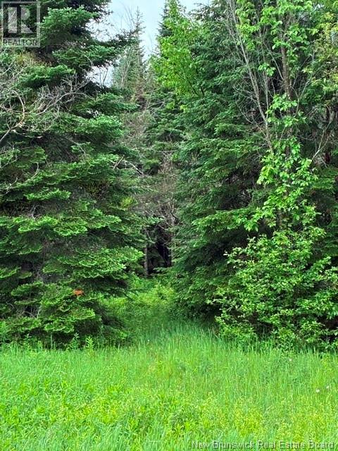 Lot Route 104 Property Photo 4