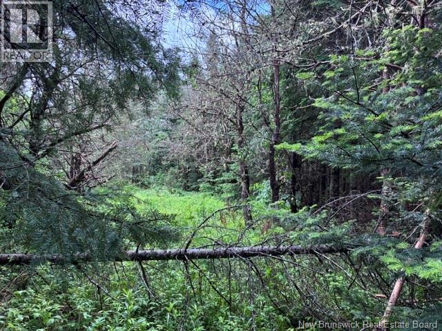 Lot Route 104 Property Photo 8