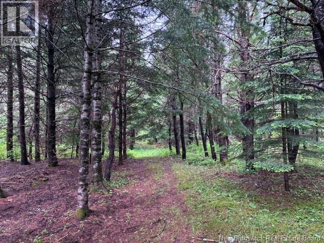 Lot Route 104 Property Photo 9
