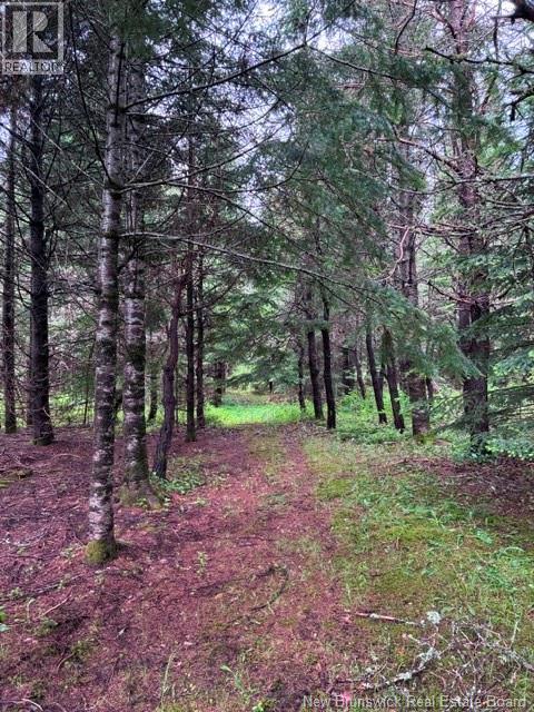 Lot Route 104 Property Photo 10