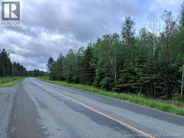 Lot Route 104 Property Photo 11