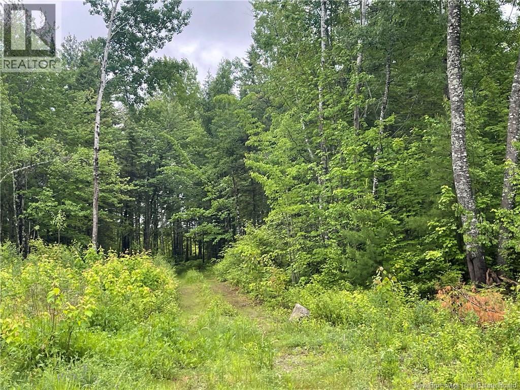 Lot Lutton Lane Property Photo 11