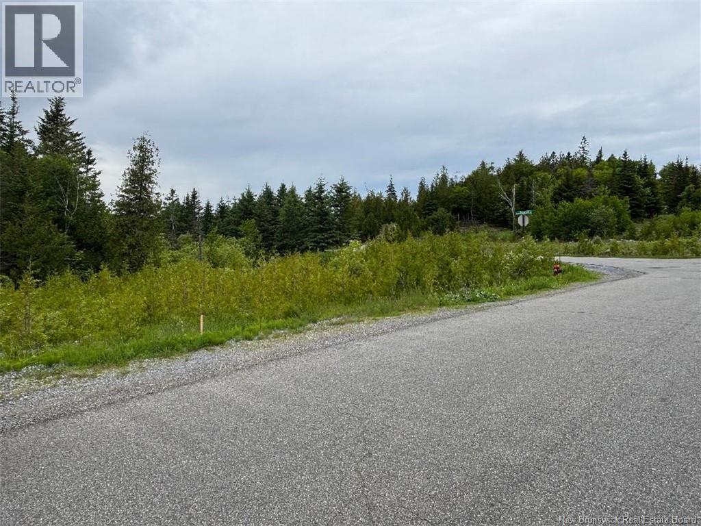 00 Drury Cove Road Property Photo 1