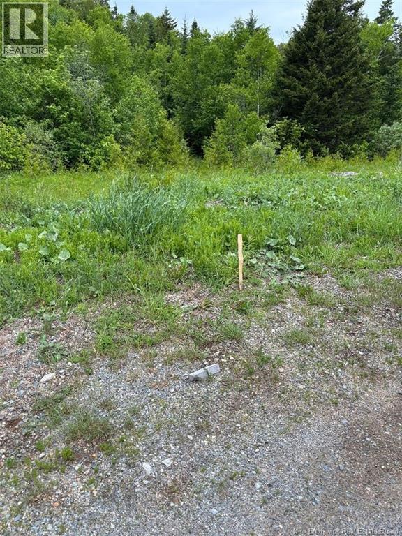 00 Drury Cove Road Property Photo 1