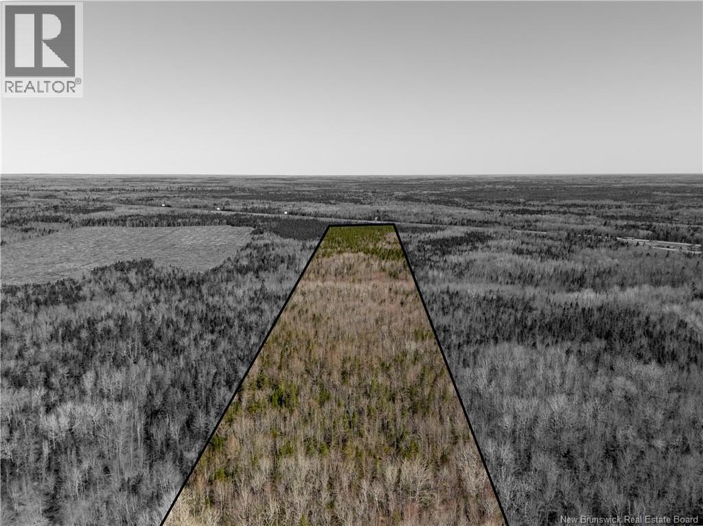 Lot Route 132 Property Photo 3