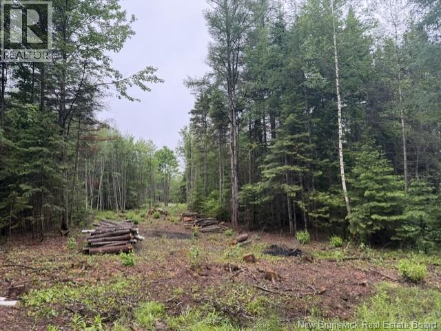 Lot 2 W P Black Lane Property Photo 2