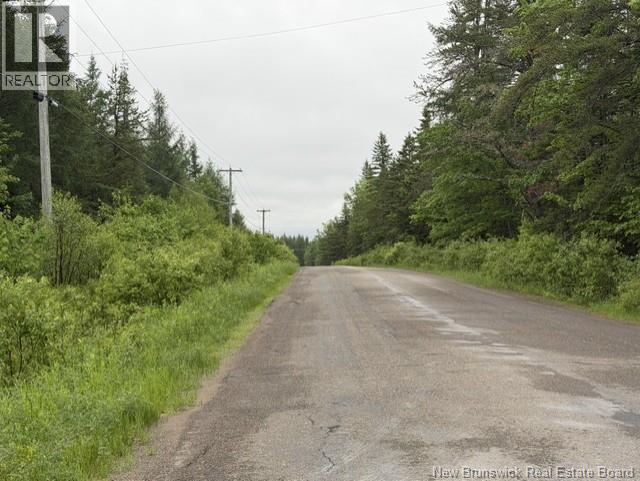 Lot 2 W P Black Lane Property Photo 3