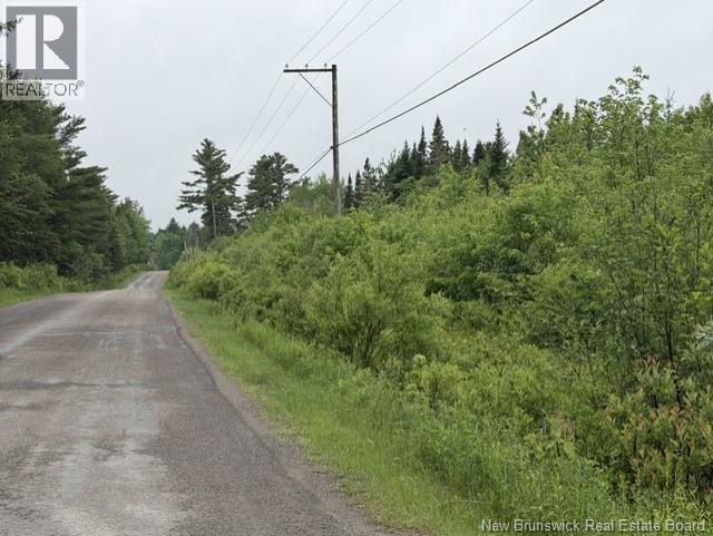 Lot 2 W P Black Lane Property Photo 4