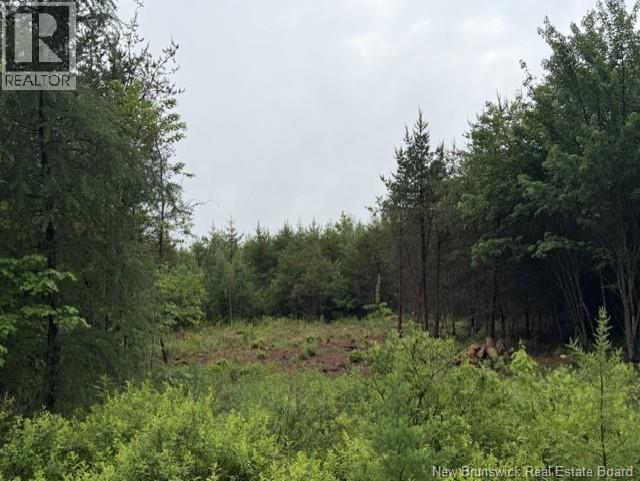 Lot 2 W P Black Lane Property Photo 6