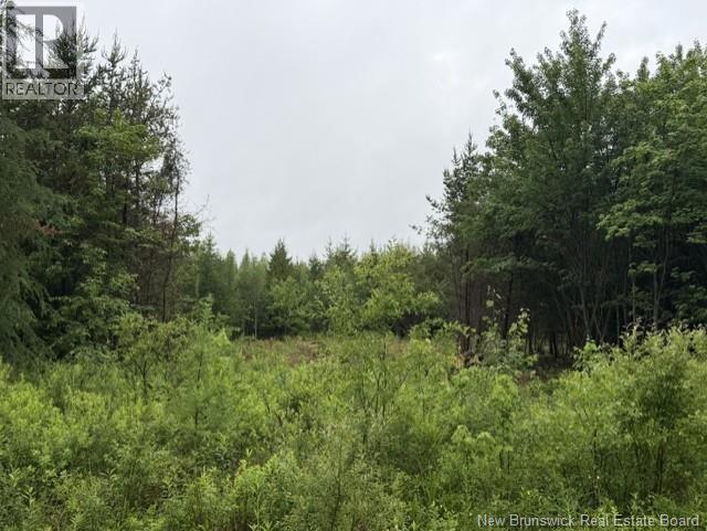 Lot 2 W P Black Lane Property Photo 7