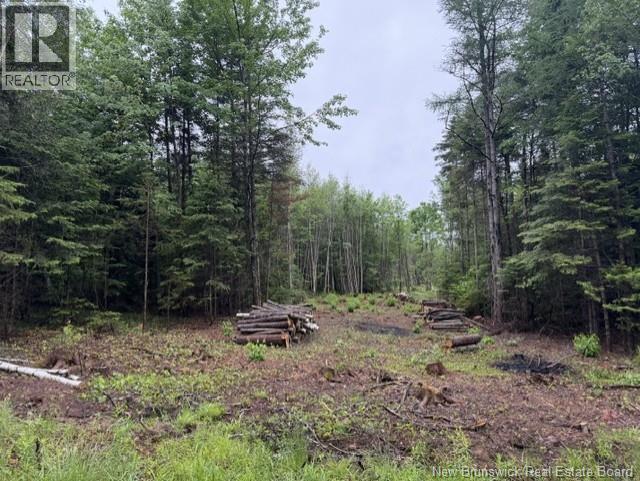 Lot 2 W P Black Lane Property Photo 10