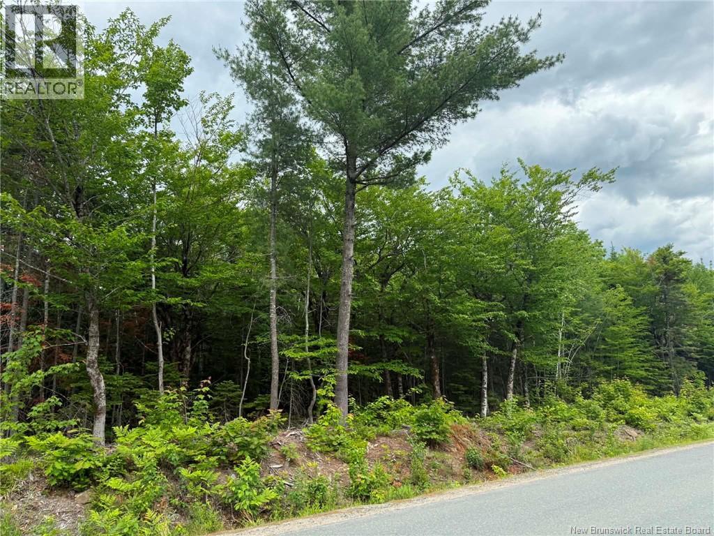 Lot 2 Hansen Road Property Photo 1