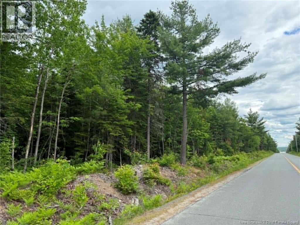 Lot 2 Hansen Road Property Photo 3
