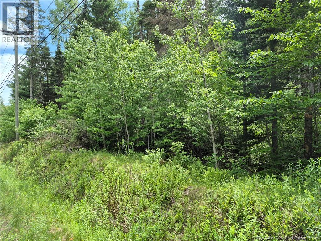0 Rte 148 Property Photo 13
