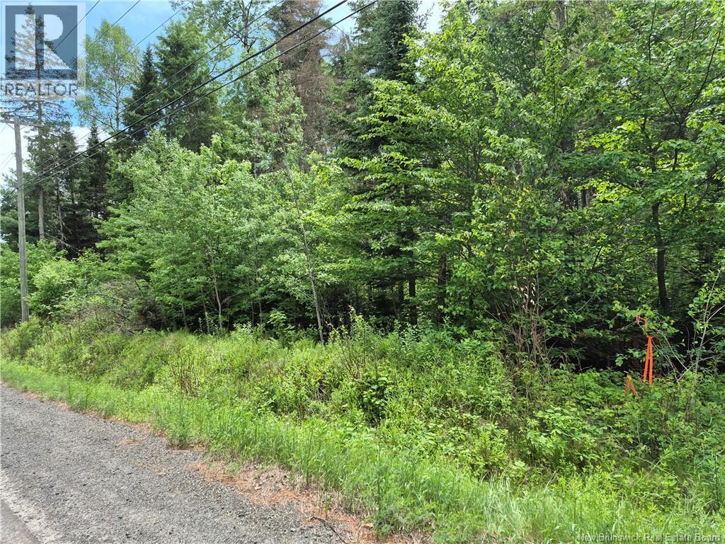 0 Rte 148 Property Photo 15