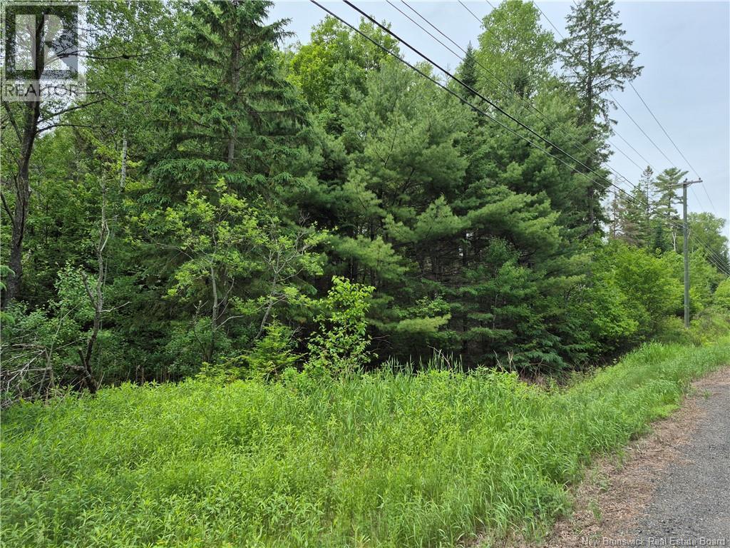 0 Rte 148 Property Photo 17