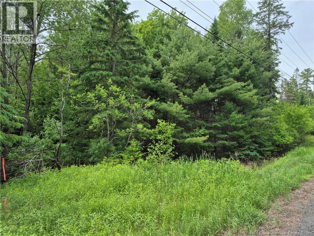 0 Rte 148 Property Photo 18