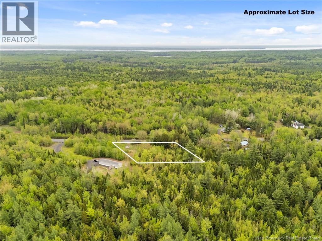 219/235 Post Road Property Photo 4