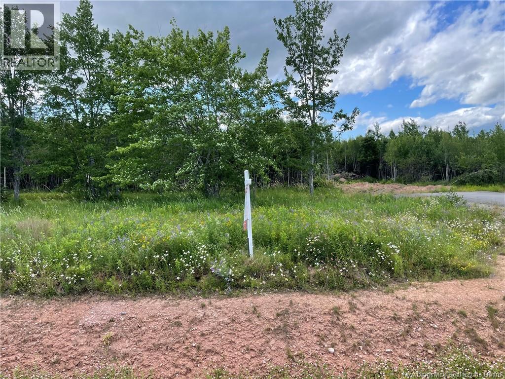 Lot 21-5 Fawcett Avenue Property Photo 1