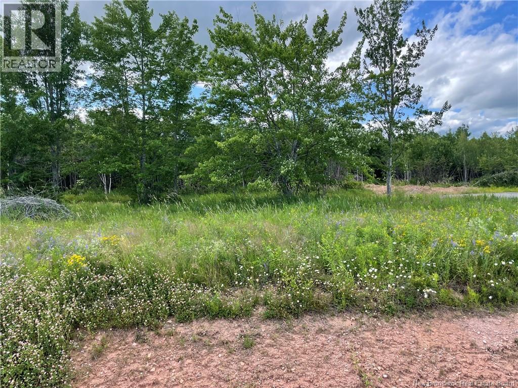 Lot 24-4 Fawcett Avenue Property Photo 2