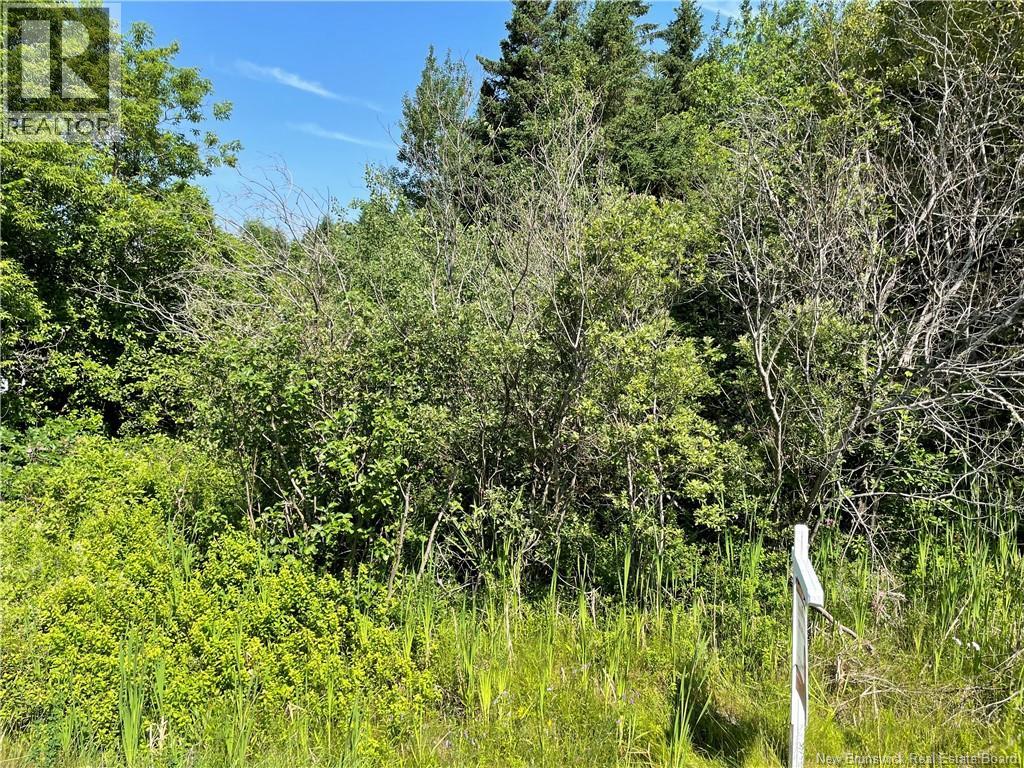 Lot 2 Communication Road Property Photo 1