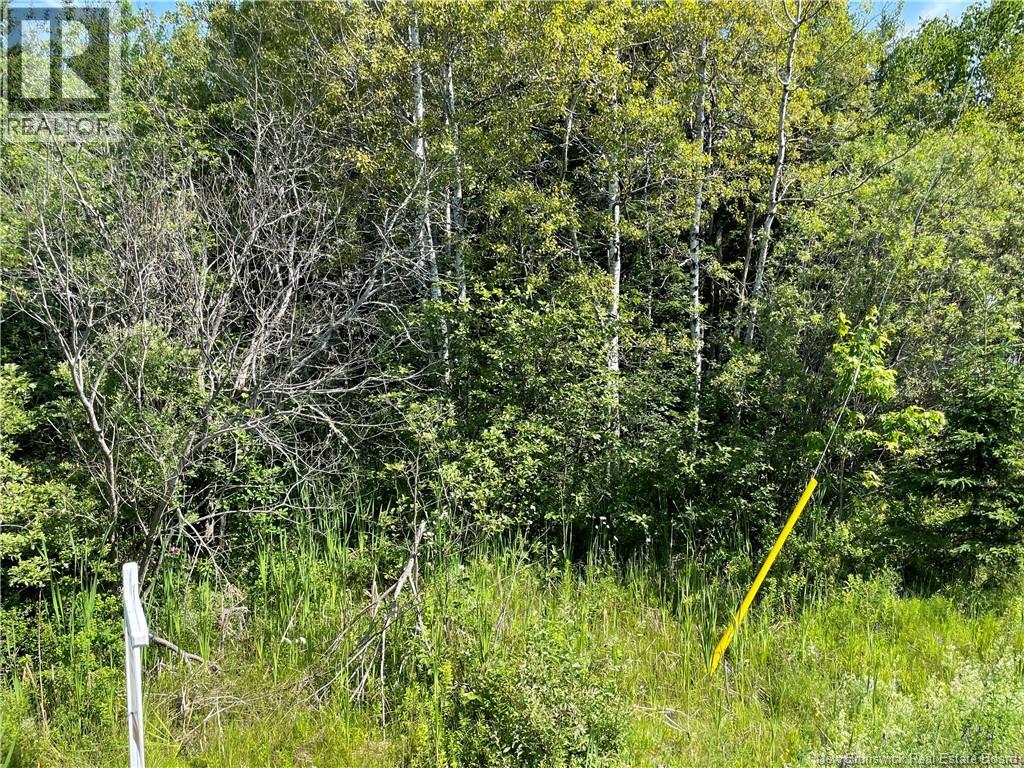 Lot 2 Communication Road Property Photo 2