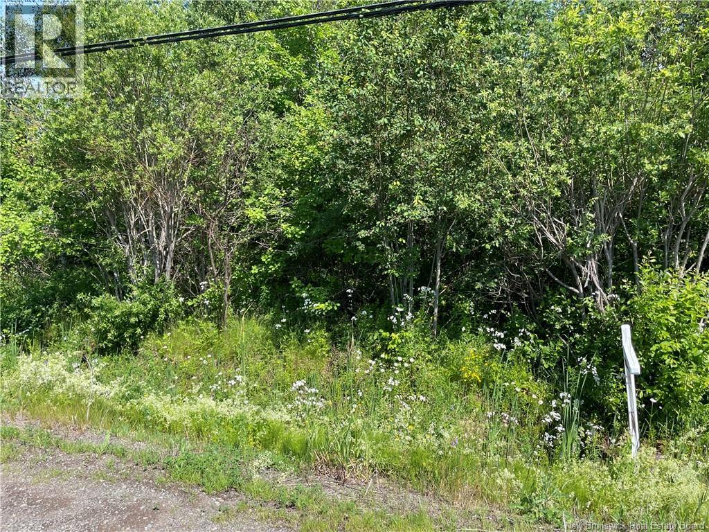 Lot 3 Communication Road Property Photo 1