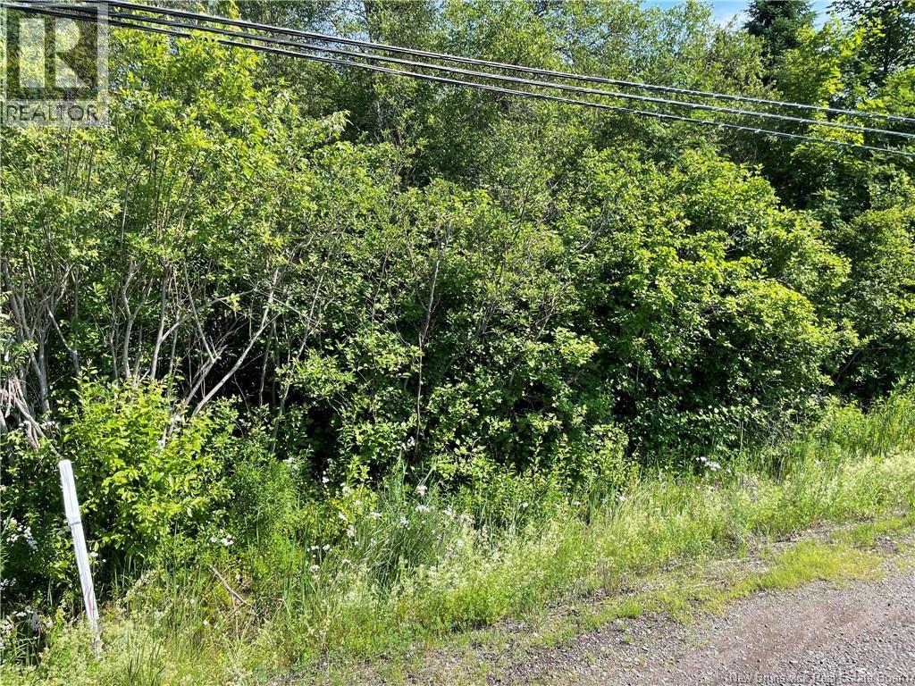 Lot 3 Communication Road Property Photo 2