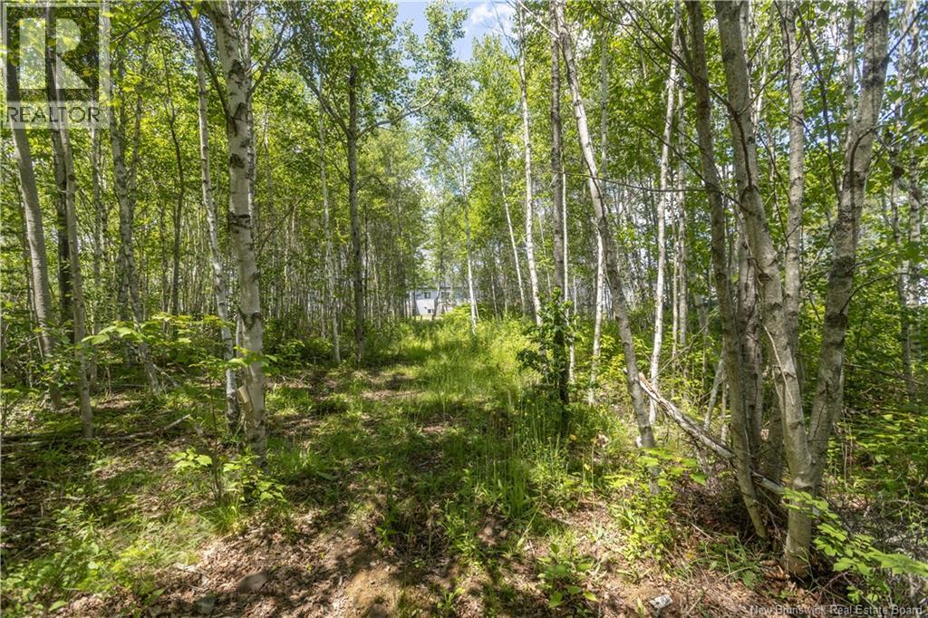 30 Beau Domaine Court Property Photo 33
