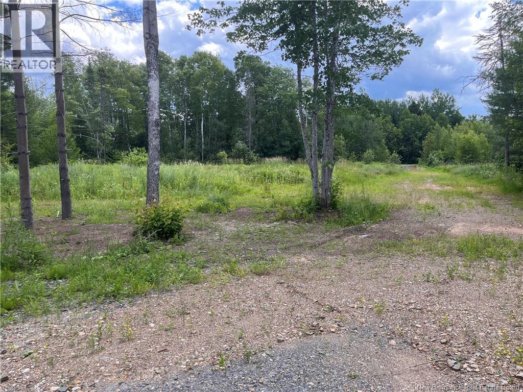 06-12 Benerin Court Property Photo 5