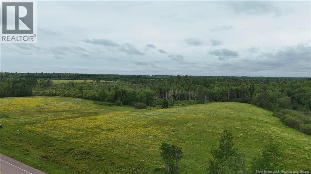 Lot 1 Route 134 Property Photo 7