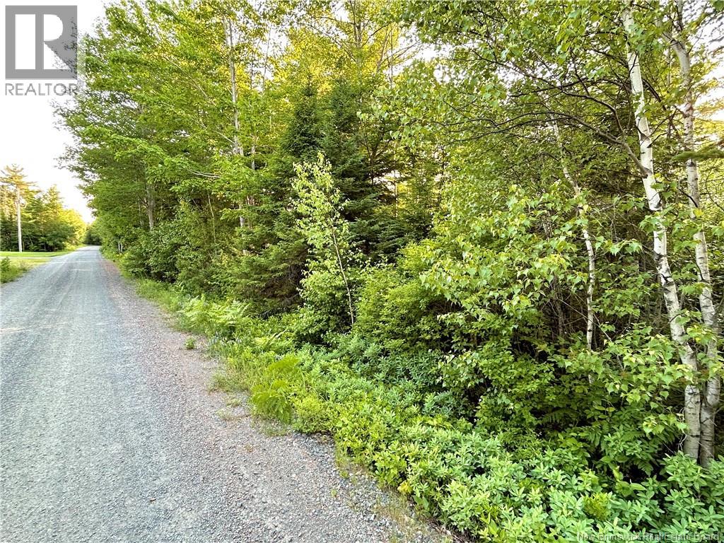 Lot 05-45 Tucker's Point Lane Property Photo 3
