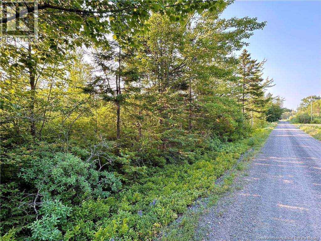 Lot 05-45 Tucker's Point Lane Property Photo 4