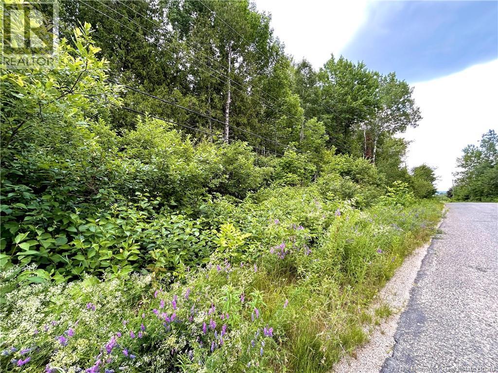 2 Hectares Kanes Lane Property Photo 2