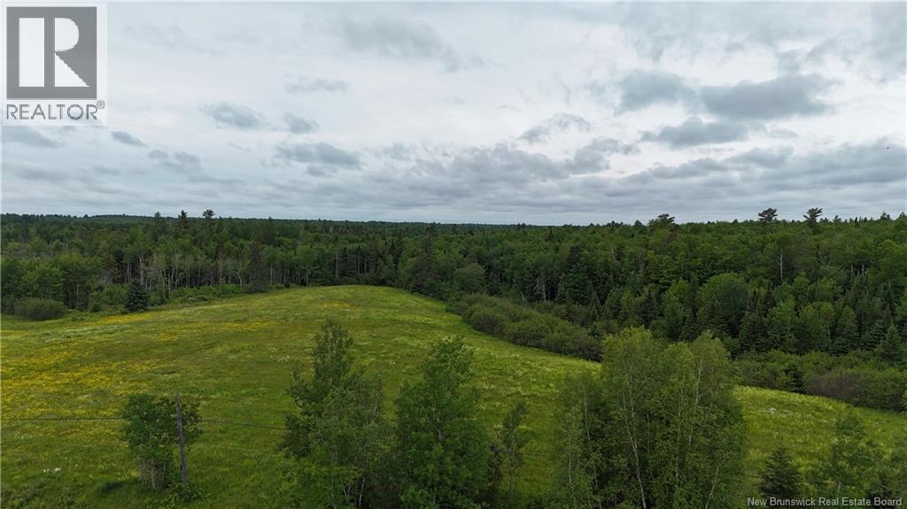 Lot 3 Route 134 Property Photo 4