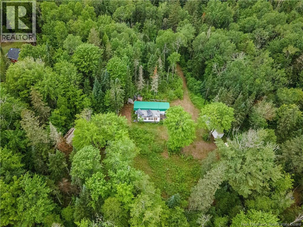 84 Back Road Property Photo 14