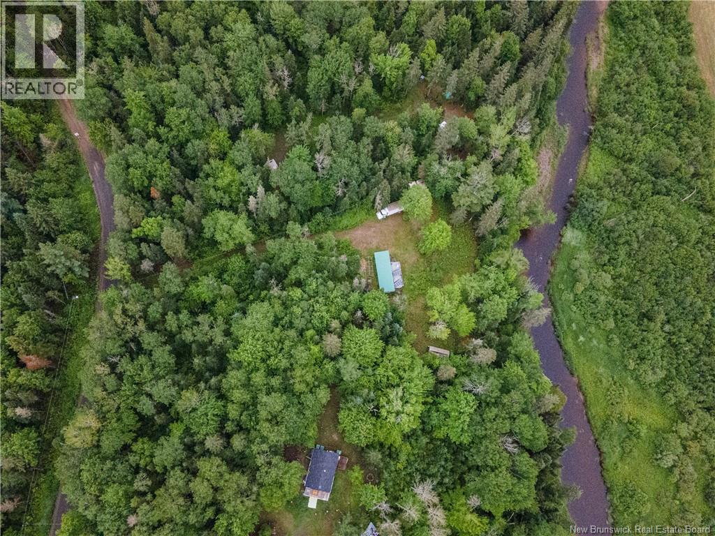 84 Back Road Property Photo 15