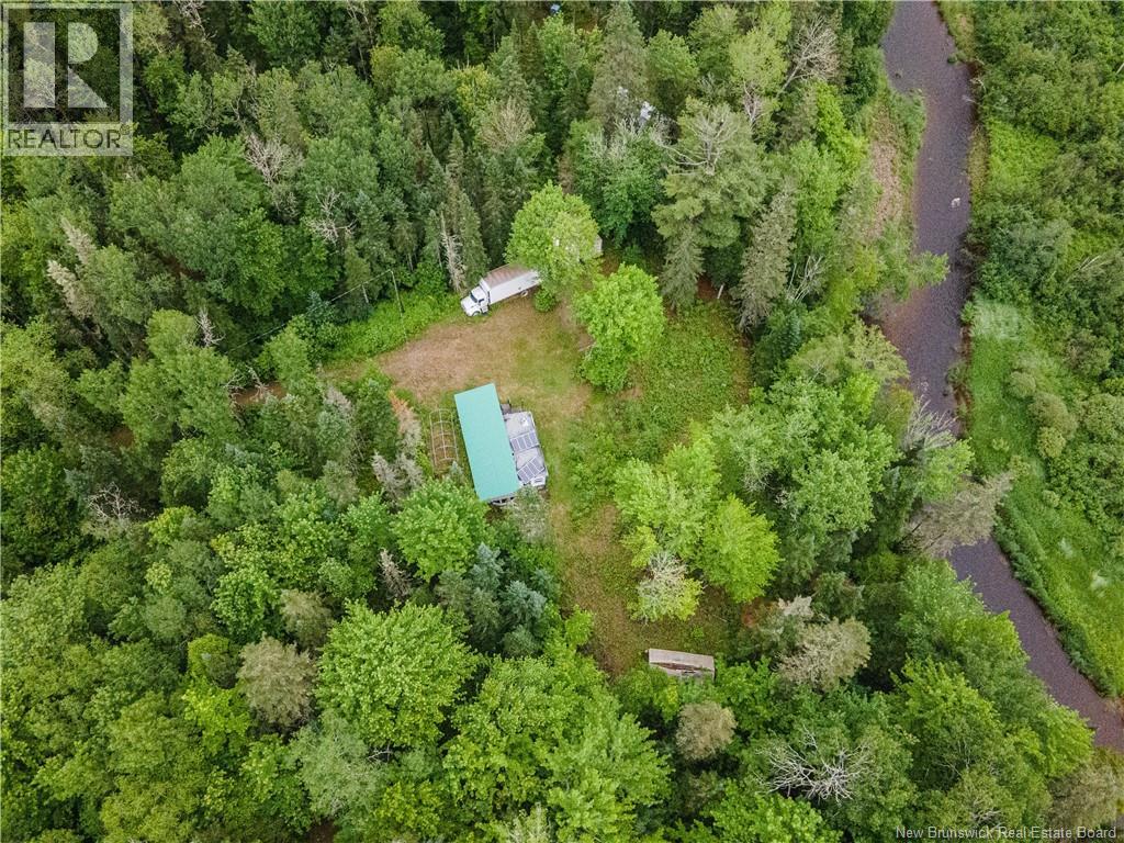 84 Back Road Property Photo 16