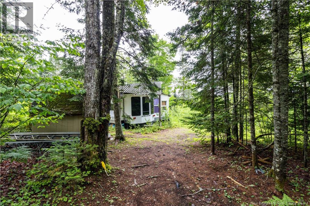 84 Back Road Property Photo 18