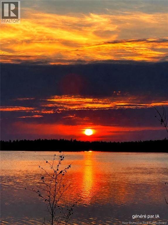 293 Ch Saulnier Est Property Photo 47
