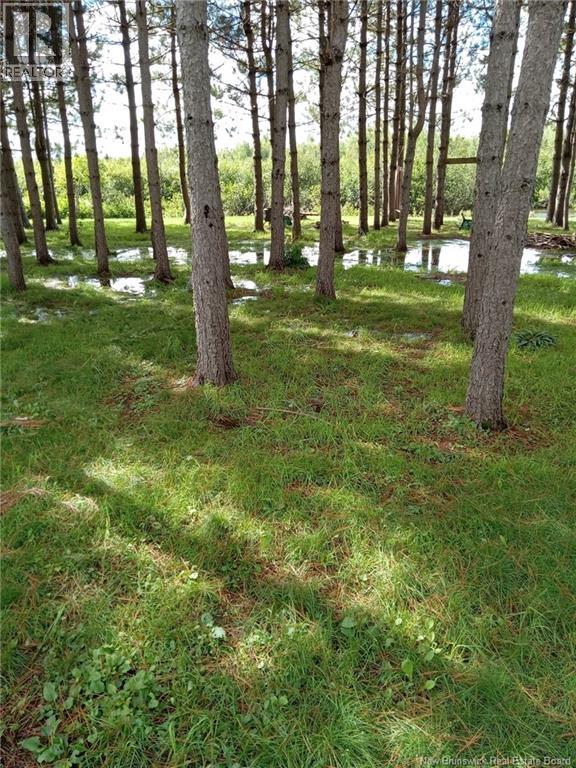 1.84 Acres Route 135 Property Photo 11